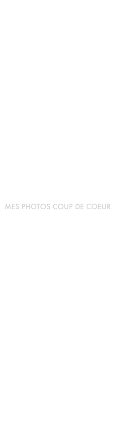 



















MES PHOTOS COUP DE COEUR


